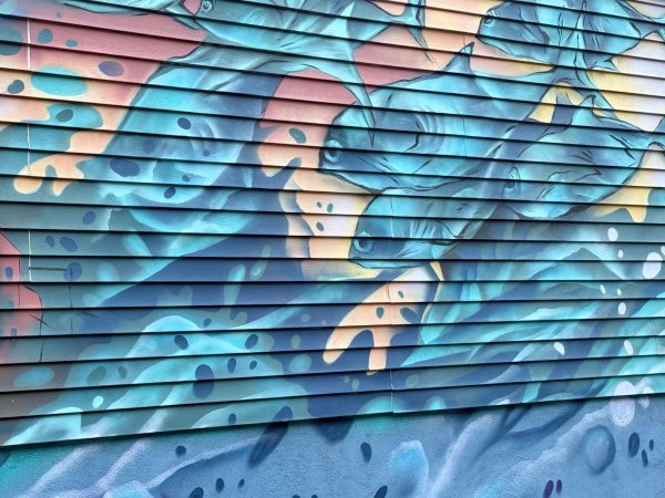 Untitled Submission by Dom Laporte - Mural in Centretown West, Ontario