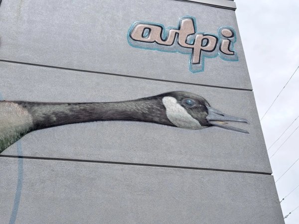 Untitled by Arpi - Mural in Hintonburg, Ontario