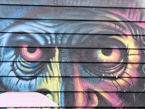 Art For Life by Phil Landry - Street art mural in Hull, Ottawa, Ontario