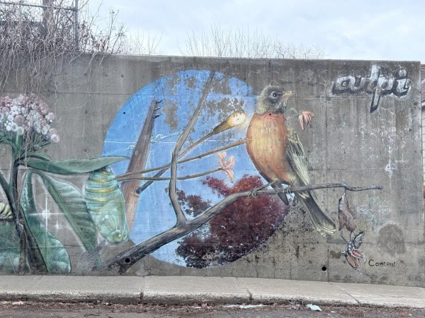 Mural artwork by Rene-Pierre Beaudry (ARPi) - Street art in Hintonburg, Ottawa, Ontario