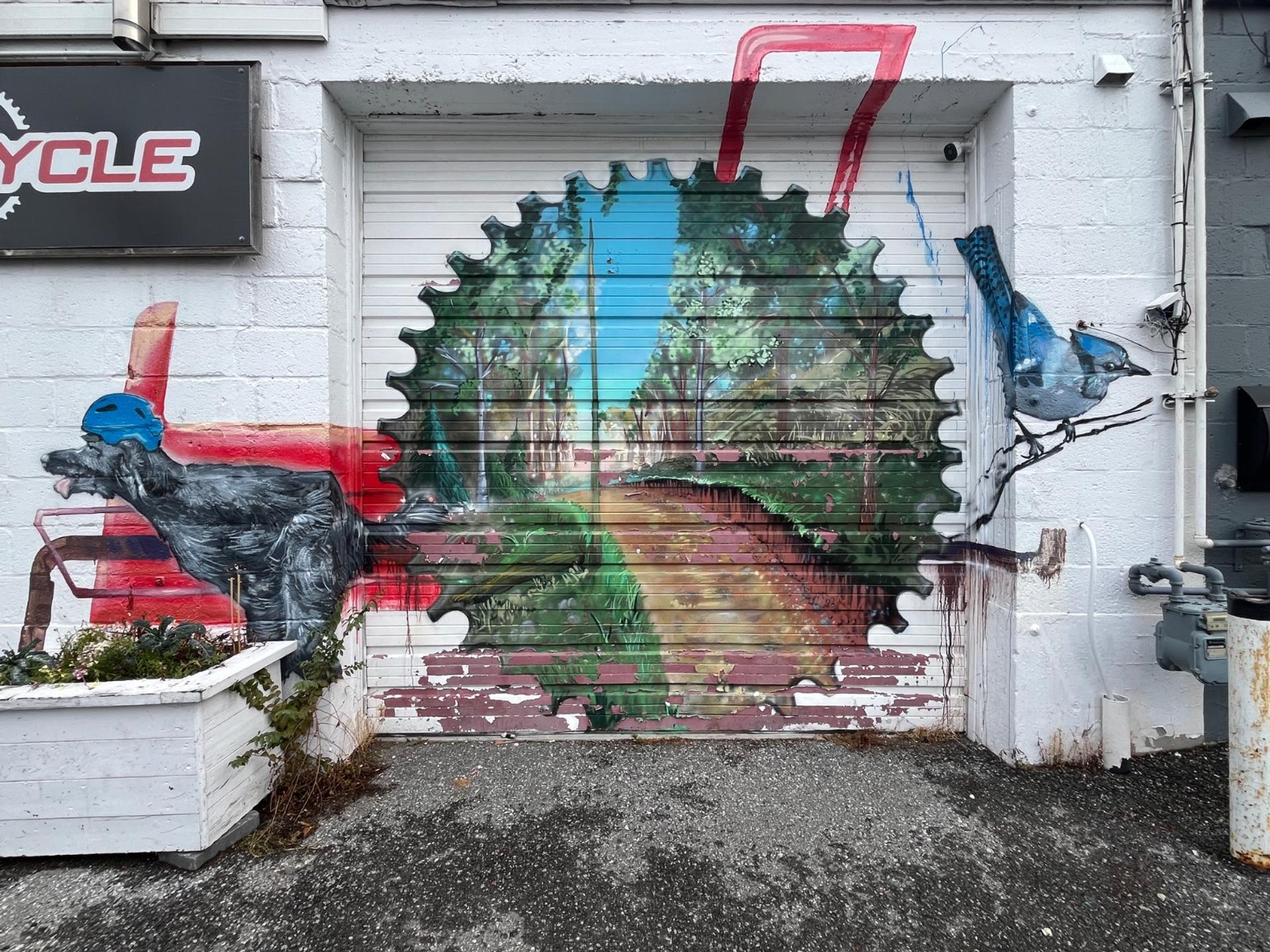 A garage door mural on a bike shop in Hintonburg, Ottawa, painted by Arpi. The center shows a forest trail framed inside a large bicycle chain ring gear, flanked by a black dog wearing a blue helmet on the left and a blue jay on a branch to the right.