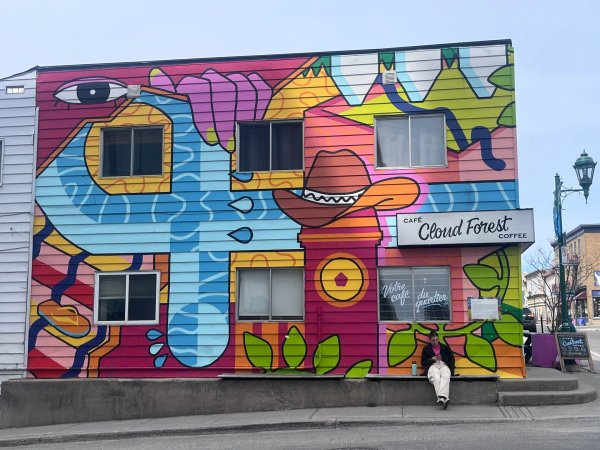 Mural artwork by Andree Godin - Street art in Hull, Ottawa, Ontario