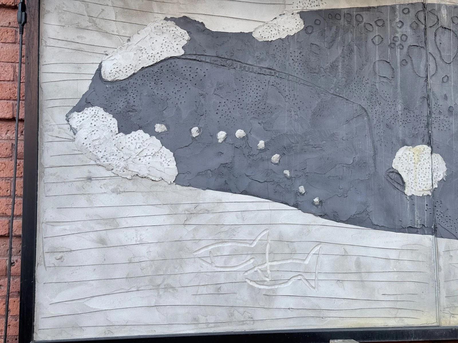 A textured grey mural depicts a whale with white callosities and two etched fish below, on Somerset Street West, Ottawa.