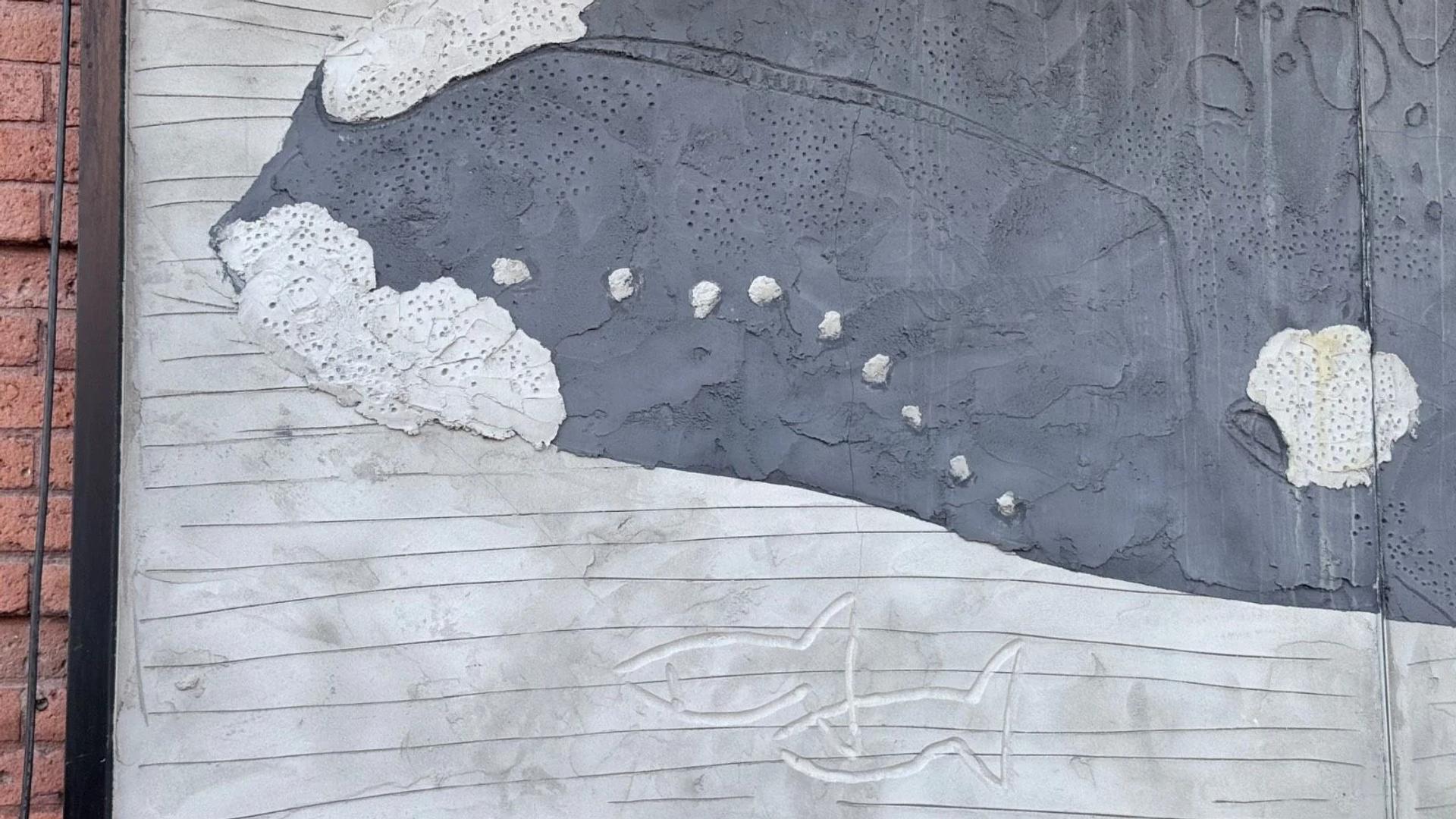 A textured grey mural depicts a whale with white callosities and two etched fish below, on Somerset Street West, Ottawa.
