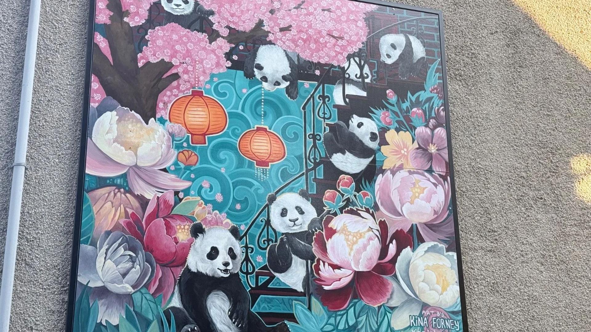 Kina Forney's vibrant mural depicts playful pandas, pink cherry blossoms, and colorful flowers on a wall at 114 Cambridge Street North, Chinatown, Ottawa.
