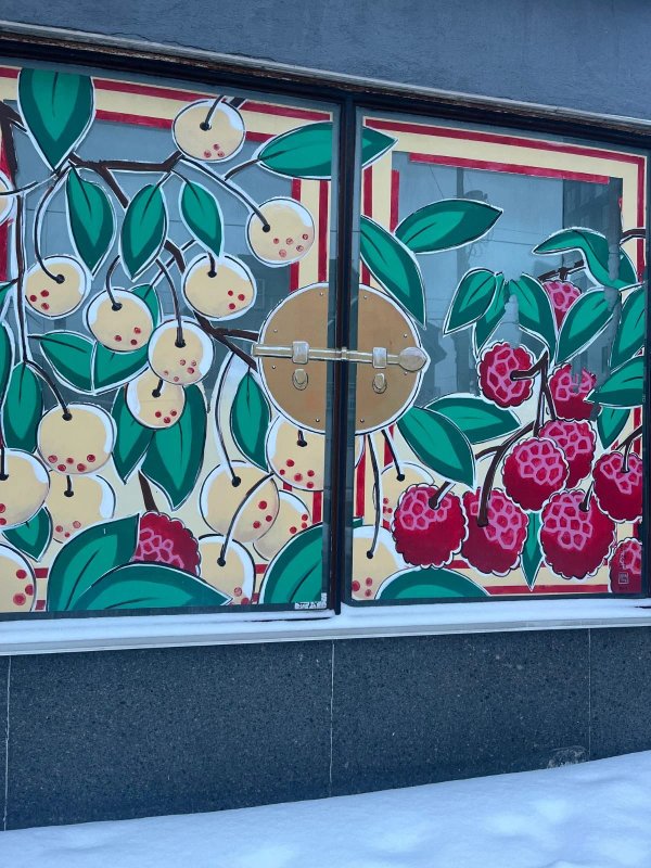 Mural artwork by Maya Hum - Street art in Chinatown, Ottawa, Ontario