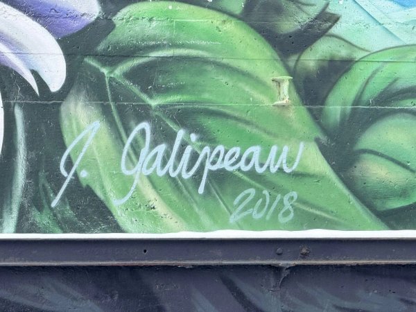 Floral mural with Glebe neighborhood map by Jocelyn Galipeau; Ottawa public art archive.