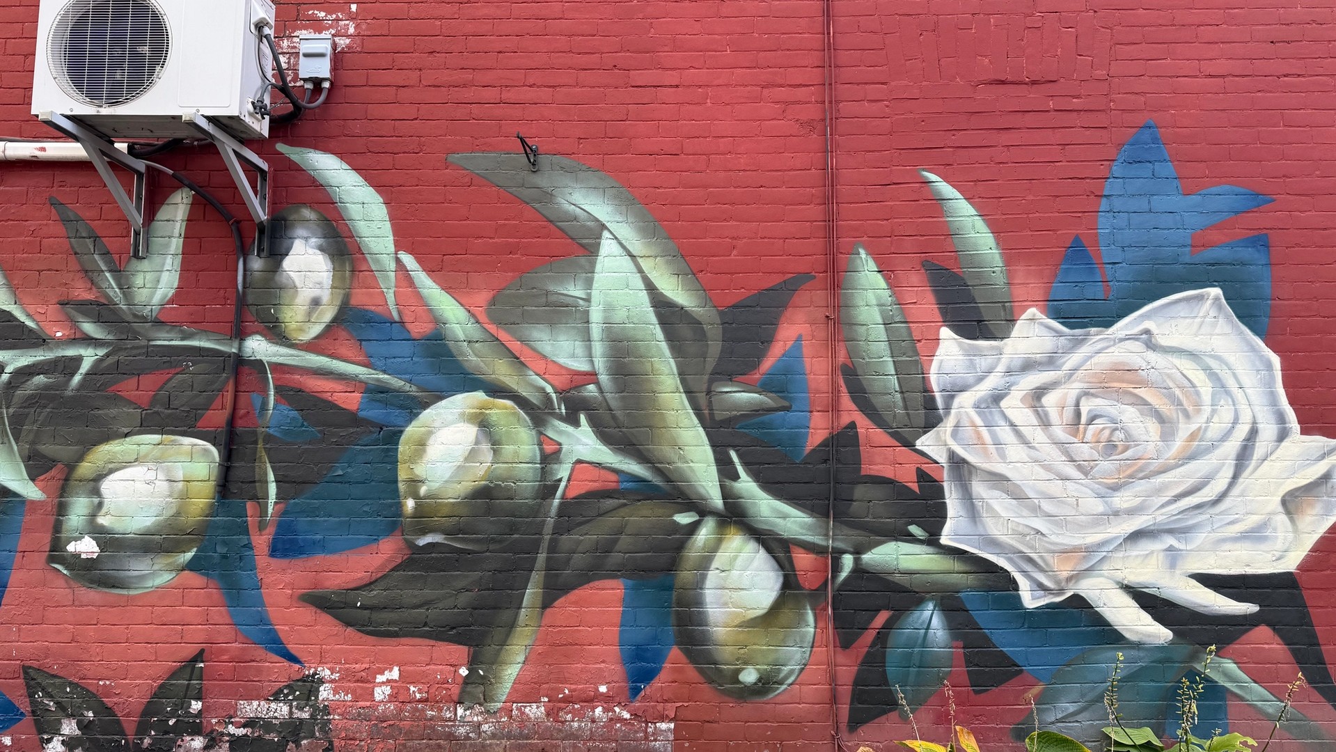 Inconnu mural in Centretown by Dom Laporte