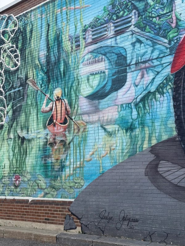 Groovy Glebe street art mural photo 1