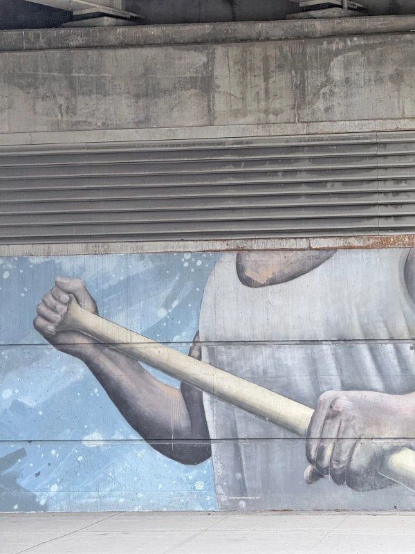Mural artwork by Ryan Smeeton - Street art in Lowertown, Ottawa, Ontario