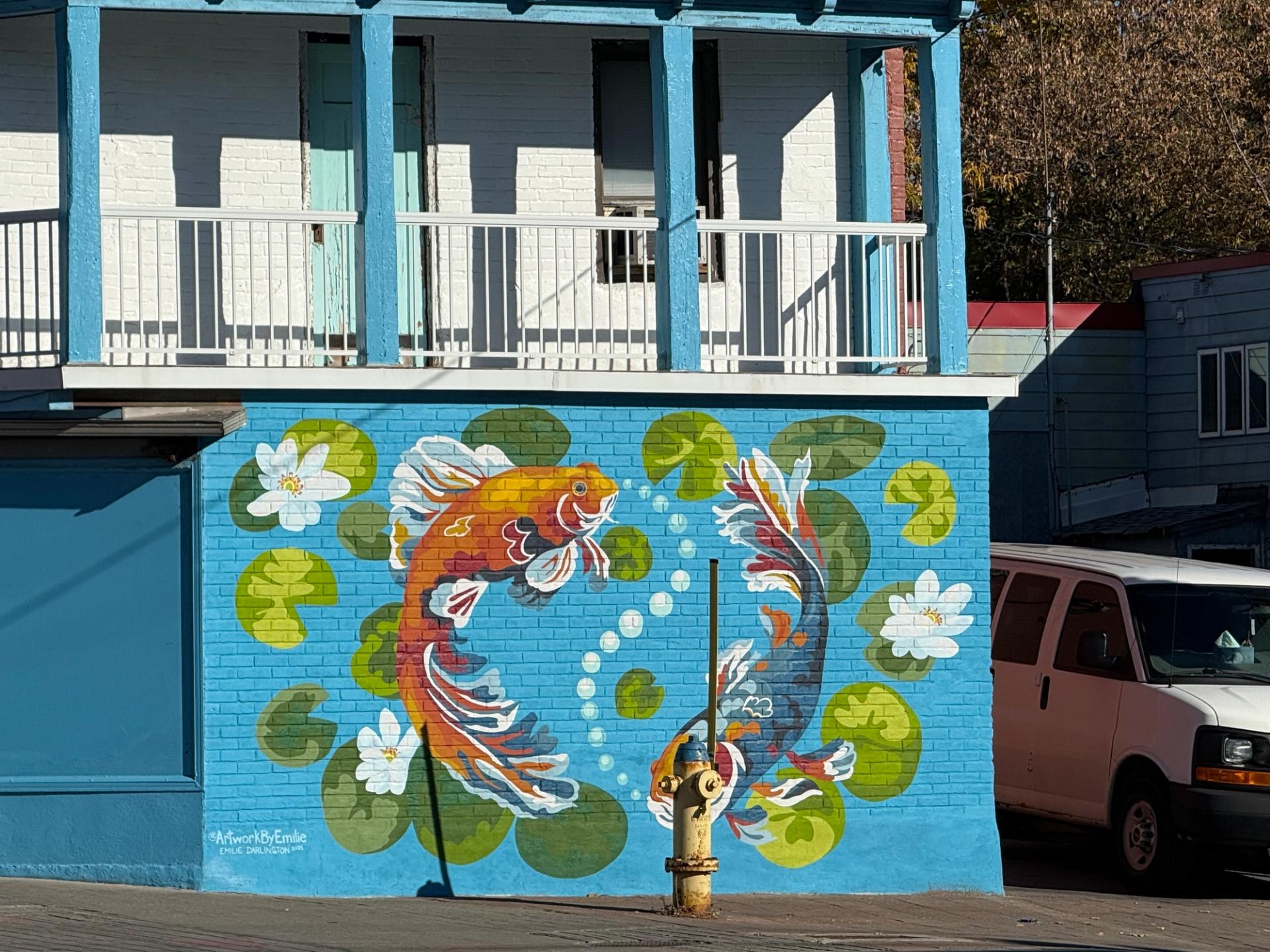 Fresque « Yin et Yang Koi » d’Emilie Darlington, située à l’angle des rues Booth et Somerset dans le quartier chinois d’Ottawa, représentant deux carpes koï symétriques se faisant face sur un mur de briques bleues, peinte en 2025
