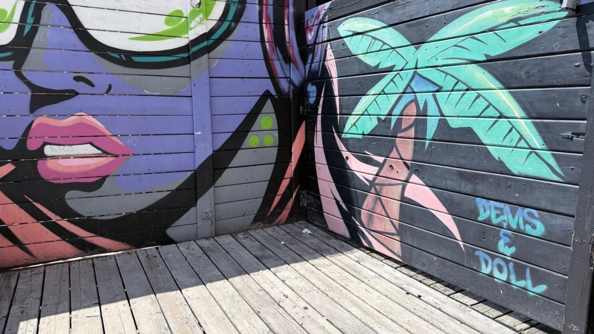 Mural artwork by Dems & Doll - Street art in Byward Market, Ottawa, Ontario