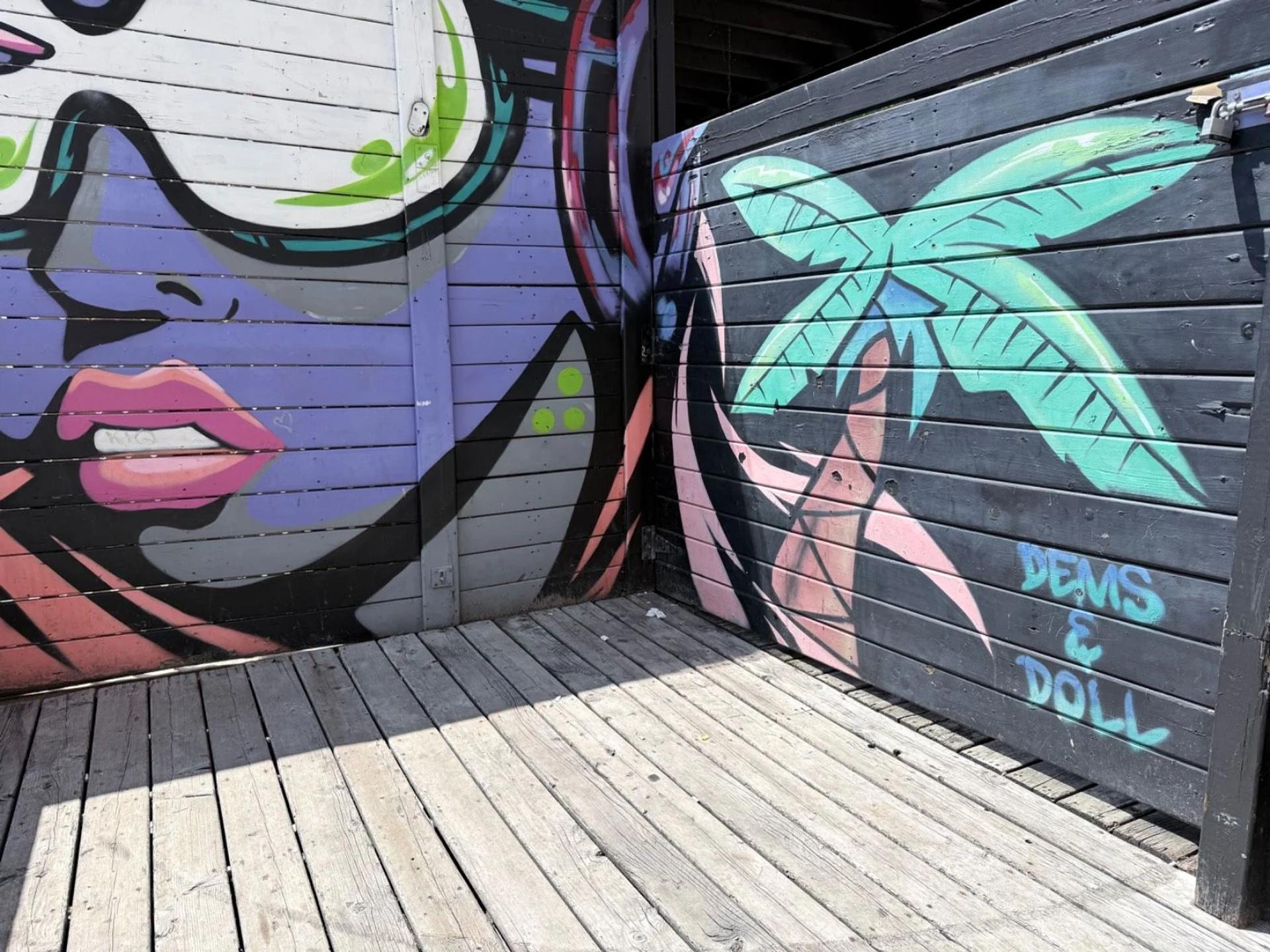 Mural artwork by Dems & Doll - Street art in Byward Market, Ottawa, Ontario