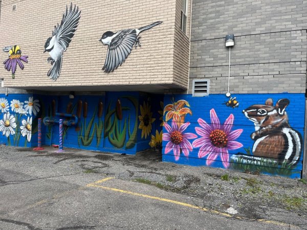 Ottawa's vibrant urban arts scene: Blue and white mural featuring florals and birds flying over Centretown. Living Art Archive by an unknown artist.