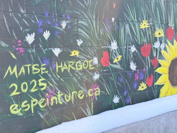 Untitled by Matse Hargoe - Mural in Chinatown, Ontario