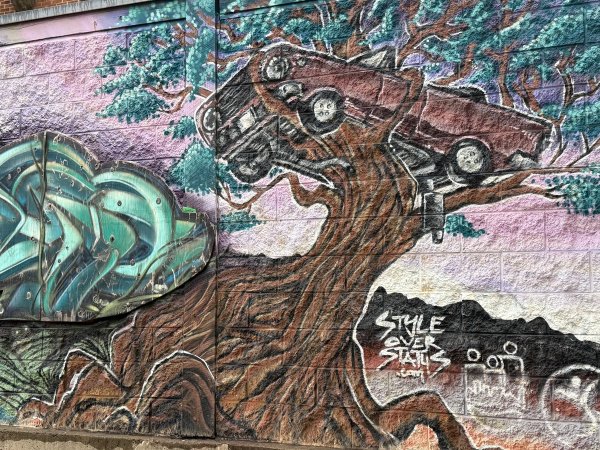 Unknown street art mural photo 1