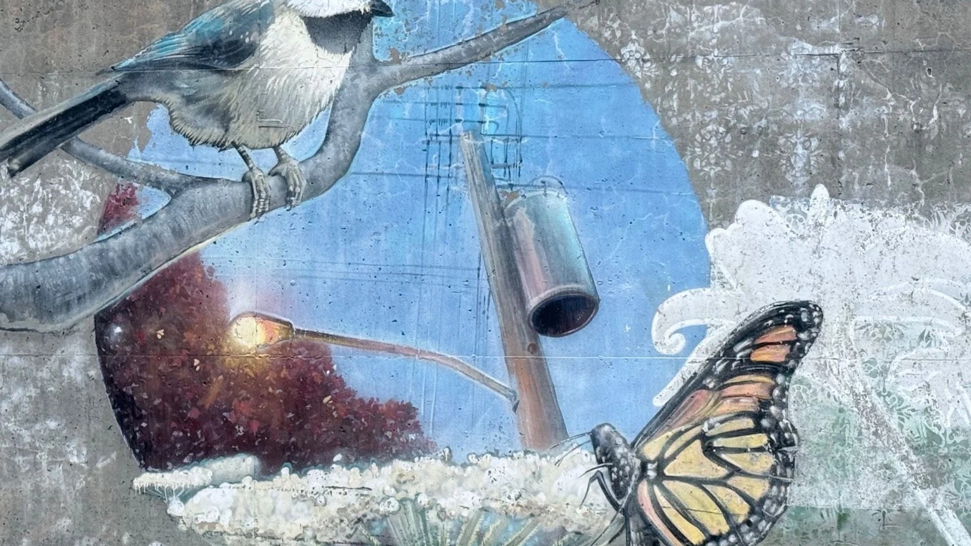 Mural artwork by Rene-Pierre Beaudry (ARPi) - Street art in Hintonburg, Ottawa, Ontario