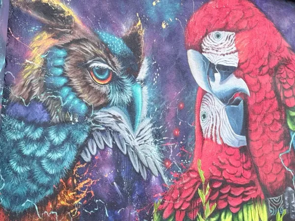 Murale par Jhonatan Cano Vasquez au 185 Rue Eddy (2025) by Jhonatan Cano Vasquez