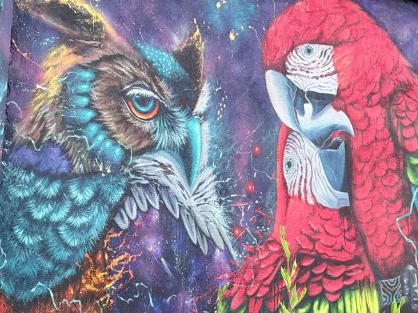 Mural artwork by Jhonatan Cano Vasquez - Street art in Hull, Ottawa, Ontario