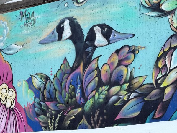 Mural artwork by Mique Michelle - Street art in Byward Market, Ottawa, Ontario