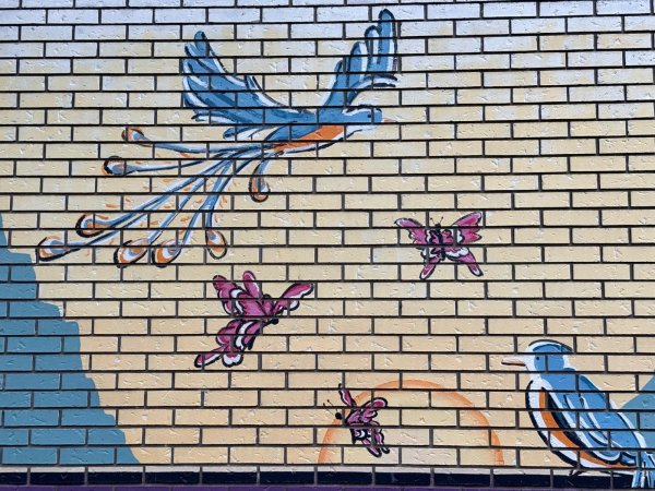 A colorful mural on a brick wall shows a long-tailed blue bird flying past pink butterflies and a perched blue bird, Bronson Avenue, Ottawa.