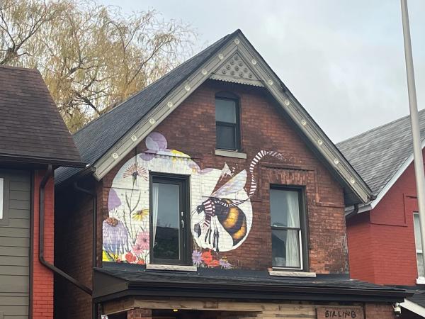 Untitled Submission by Unknown - Mural in Centretown, Ontario