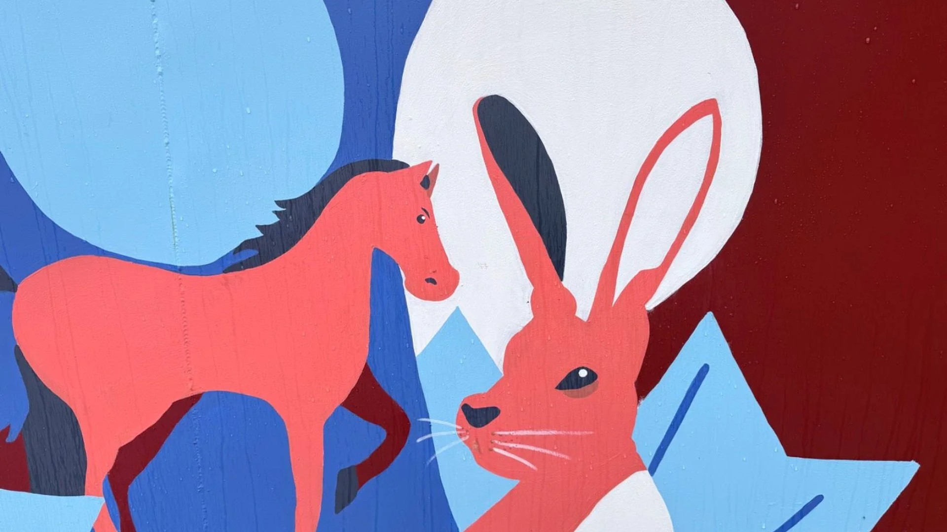 Urban street art in Byward Market, Ottawa - Mural photography by lala_garavato8