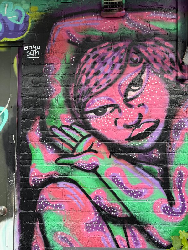 Unknown street art mural photo 1