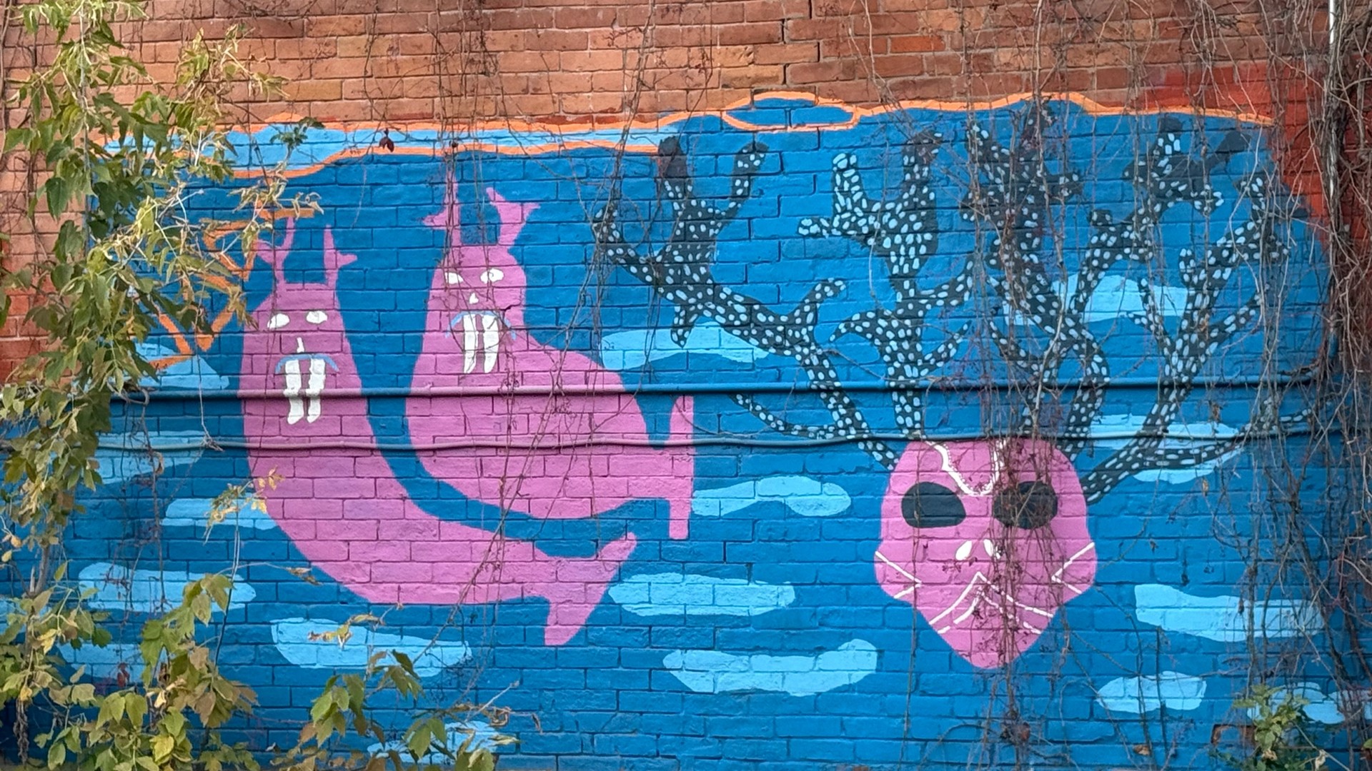 Walrus Wall mural in Ottawa by Claudia Gutierrez, Sabrina Taqtu Montague, and Iola Lampron on Somerset Street West