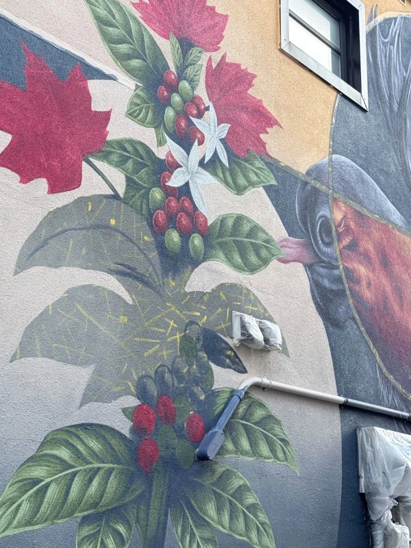 Mural artwork by Jhon Ramirez - Street art in Hull, Ottawa, Ontario
