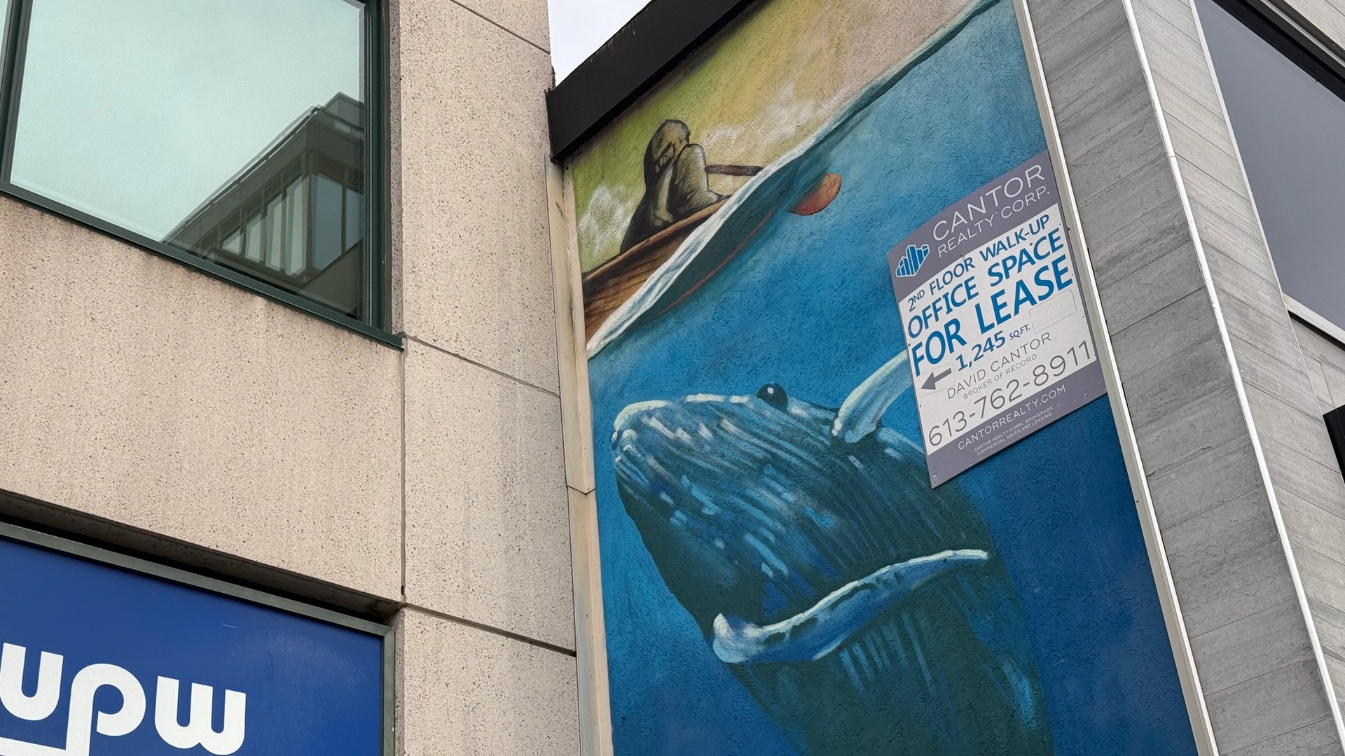 Baleine bleue mural in Centretown by Dan Metcalfe