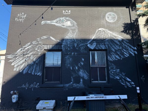 White cormorant mural by Mique Michelle in Hintonburg. Documenting art referencing Ontario's Bill 205, created for the Urban Art Collective Disrupt.