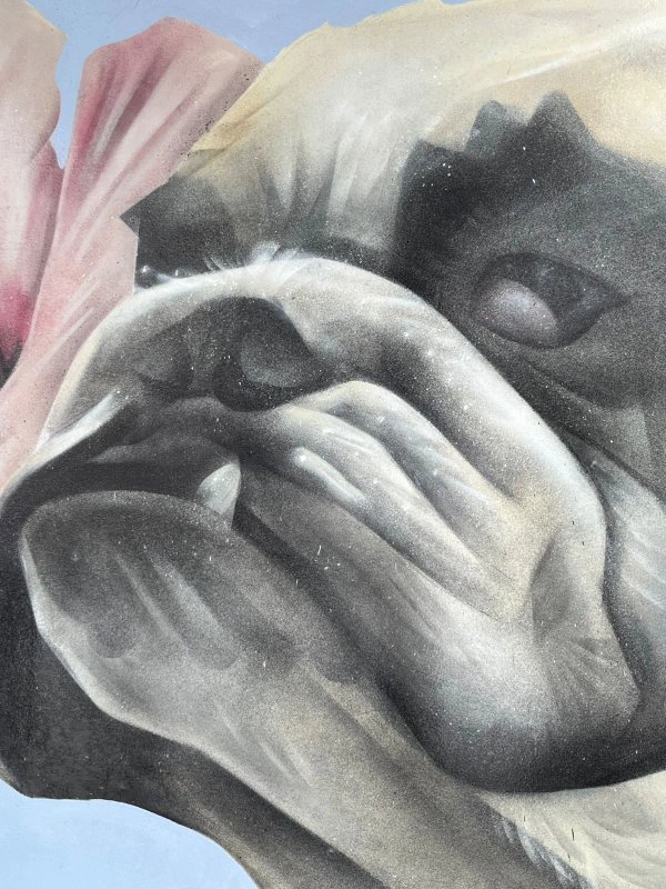 Street art mural in Hintonburg, Ottawa - Urban art photography