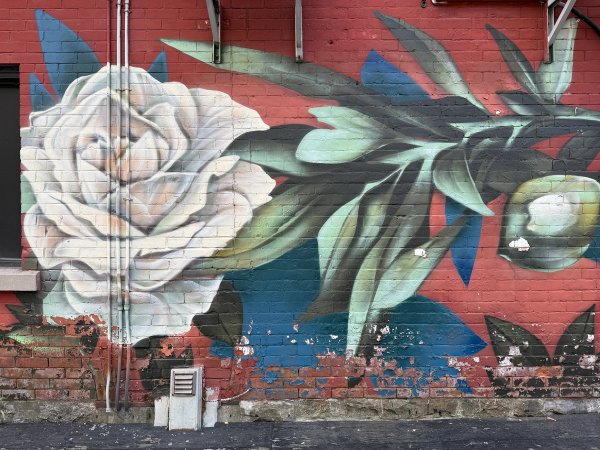 Unknown street art mural photo 3