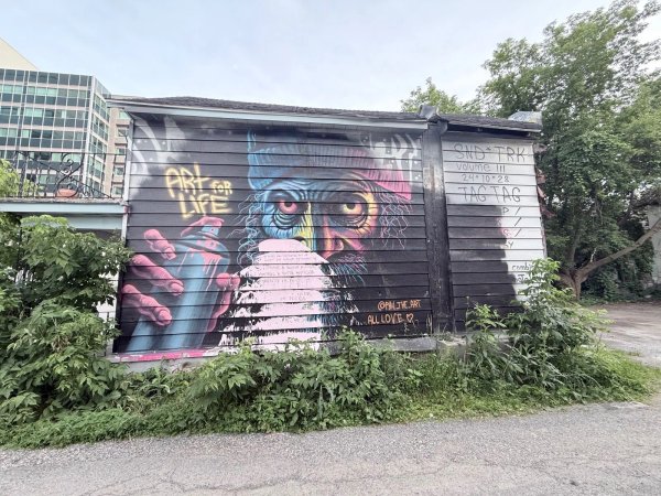 Art For Life by Phil Landry - Street art mural in Hull, Ottawa, Ontario