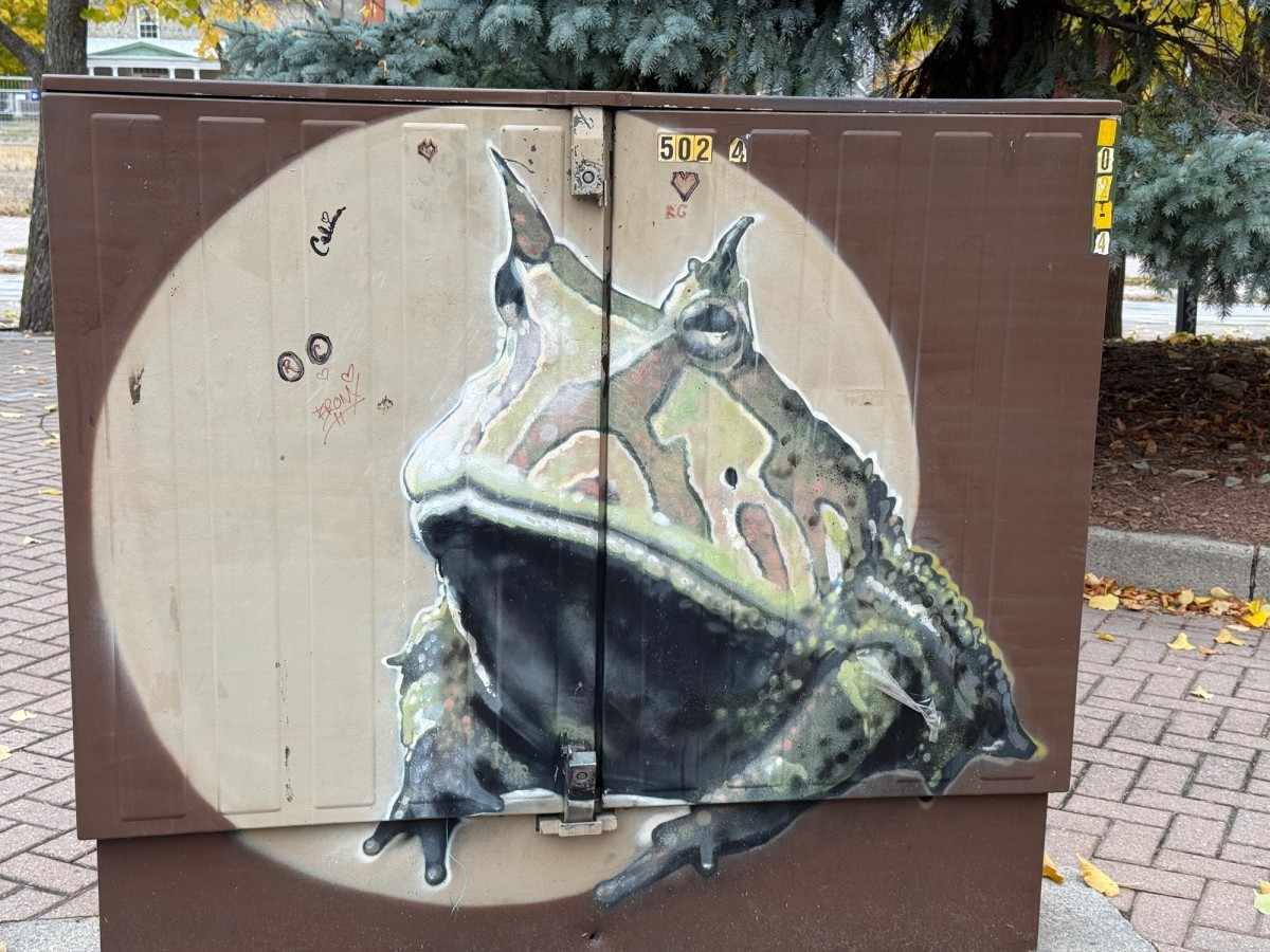 A graffiti frog mural by Arpi in Hintonburg, Wellington West, Ottawa