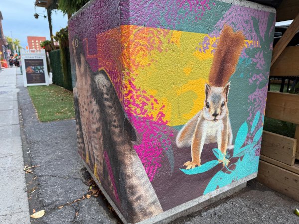 Lowertown Flower Boxes street art mural photo 3