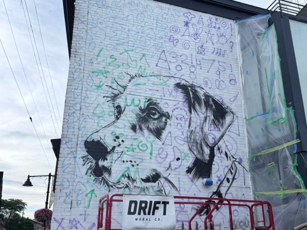 Bank Street Dog Mural by Dom Laporte - Street art mural in The Glebe, Ottawa, Ontario