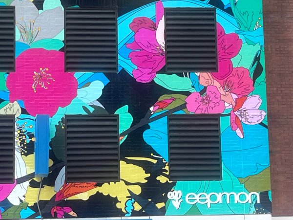 Mural artwork by Eepmon - Street art in Byward Market, Ottawa, Ontario