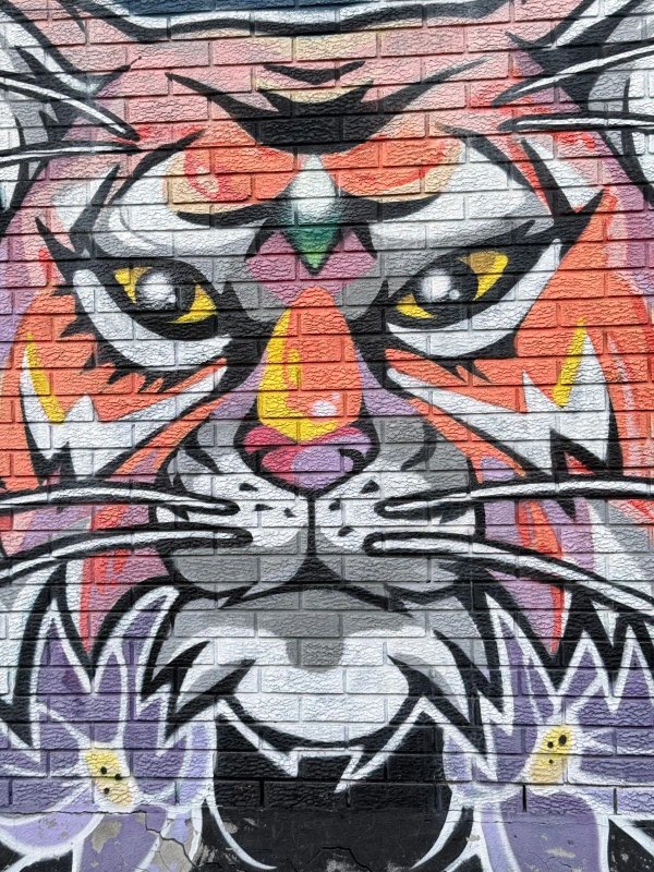 Mural artwork by Dems & Doll - Street art in Hull, Ottawa, Ontario