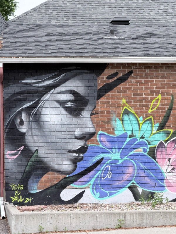 Mural artwork by Dems & Doll - Street art in Old Ottawa East, Ottawa, Ontario