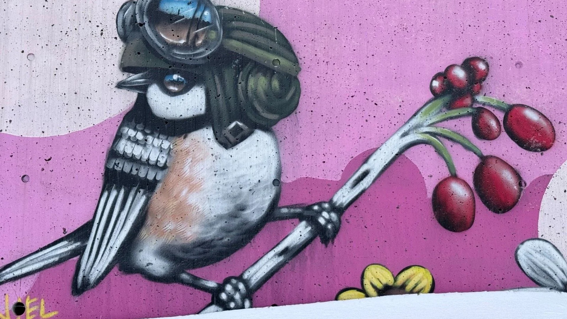 Mural artwork by Daniel Martelock - Street art in Byward Market, Ottawa, Ontario