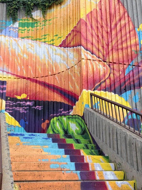 Mural artwork by Marin Mitrasinovic - Street art in Hull, Ottawa, Ontario