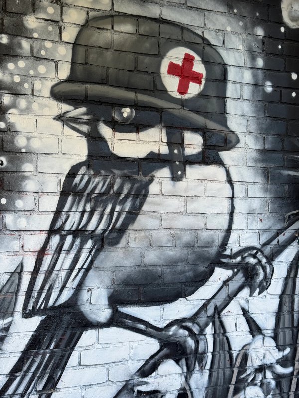 Iconic black and white street art bird by Daniel Martelock on a garage door. Documented art from the Urban Art Collective Disrupt 2023.