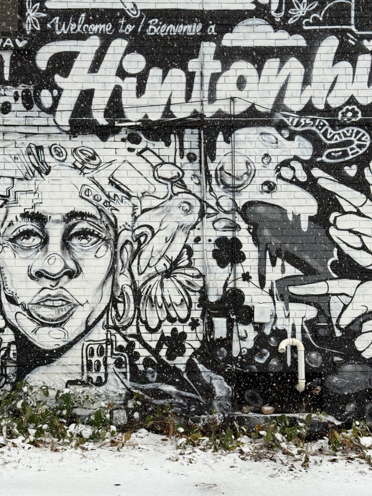 A mural with a collage of faces and cartoon motifs with a Welcome to Hintonburg sign