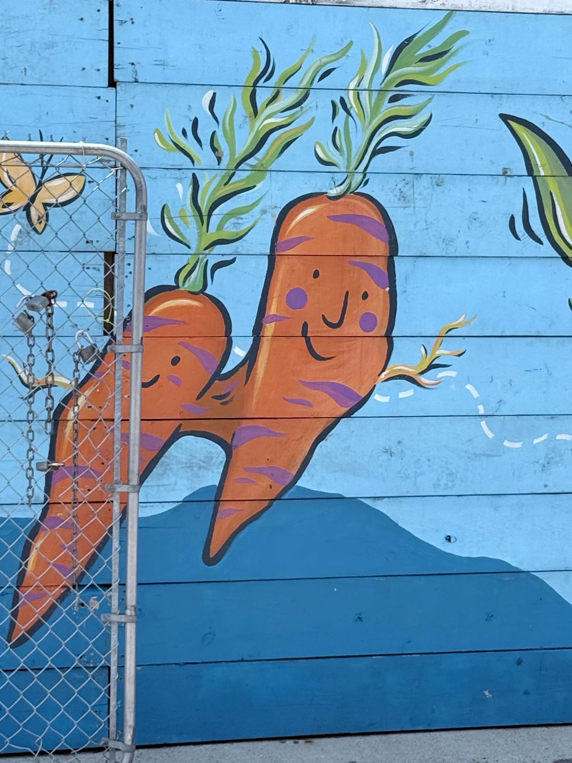 Mural artwork by Kasia Niton - Street art in Byward Market, Ottawa, Ontario