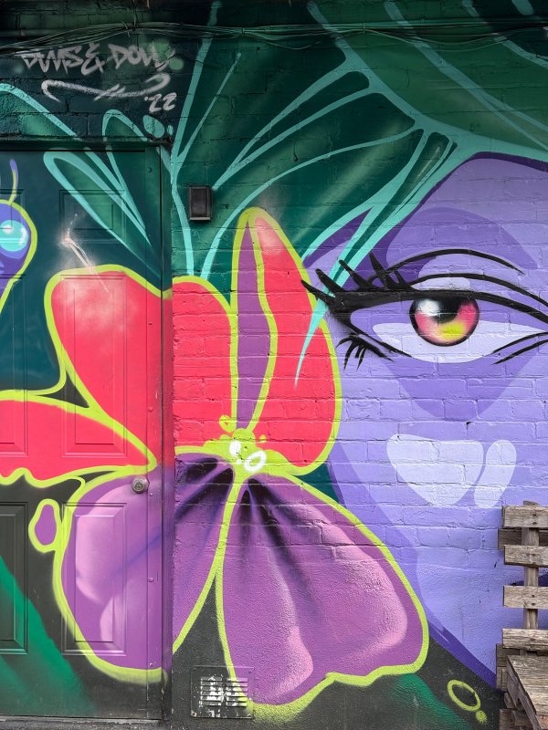 Inconnu street art mural photo 1