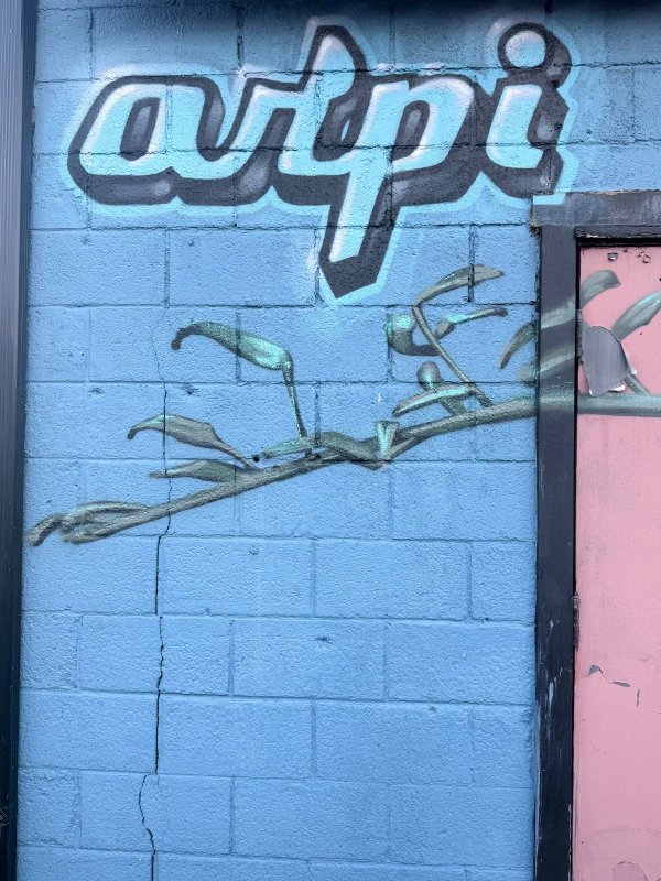 Untitled Submission by ARPi - Mural in Hintonburg, Ontario