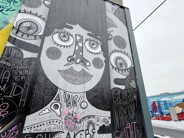 Soy Caribe by Visualgzas - Mural in Centretown, Ontario at Arlington 5