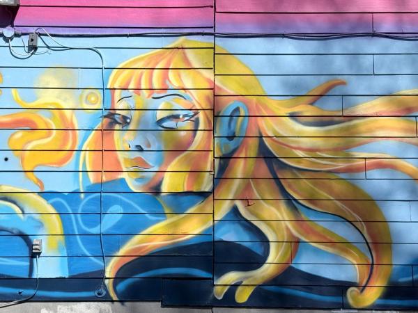 Mural artwork by Mente Muerta - Street art in Hull, Ottawa, Ontario